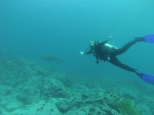 Joyce Scuba Dives with Sea Turtle